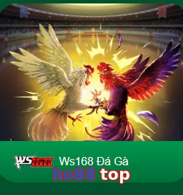 ho88 top